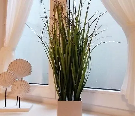 Apartment App. Martha Westerland